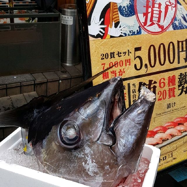 famous Japan fish market