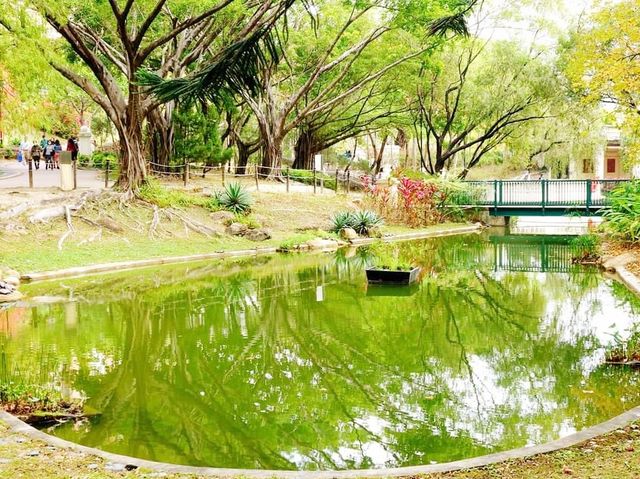 青衣賞花好去處