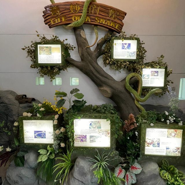 屯門公園-爬蟲館
