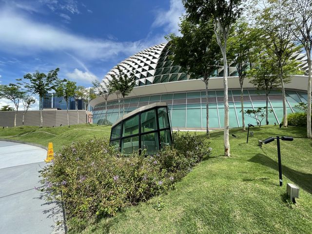 Rooftop gardens