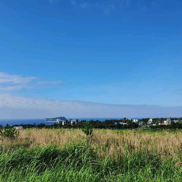 제주 서귀포시 호캉스 가성비갑 신신호텔