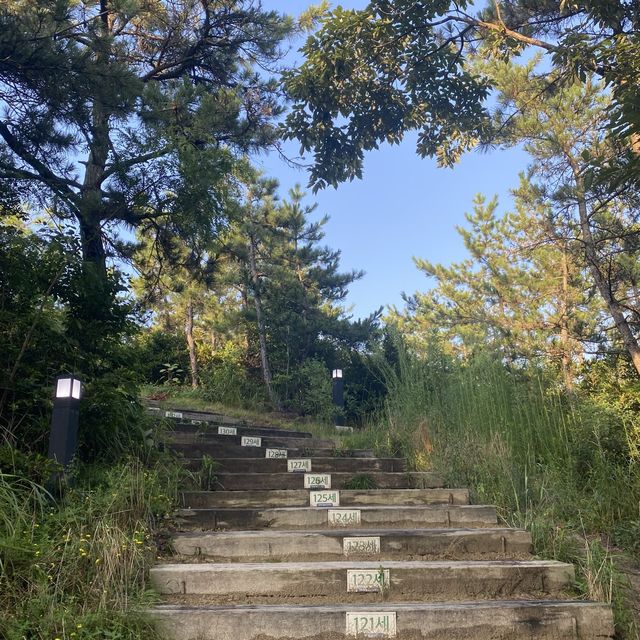 목포 해상케이블, 고하도 전망대 카페