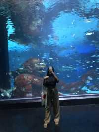 🐬Aquarium Phuket อควาเรียม ที่ใหญ่ที่สุดในภูเก็ต