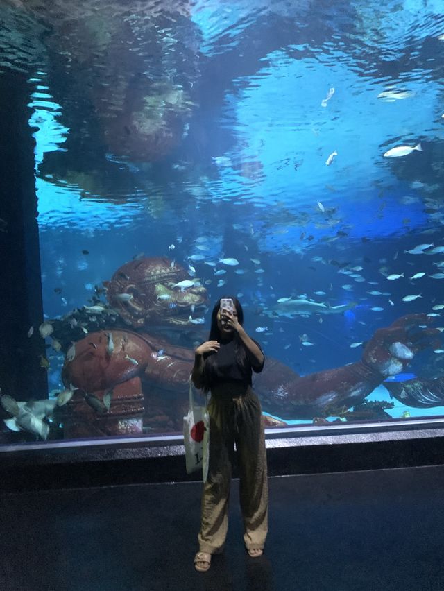 🐬Aquarium Phuket อควาเรียม ที่ใหญ่ที่สุดในภูเก็ต