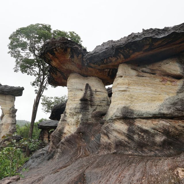 เที่ยวชมอุทยานแห่งชาติ ติดกับพรมแดนประเทศลาว