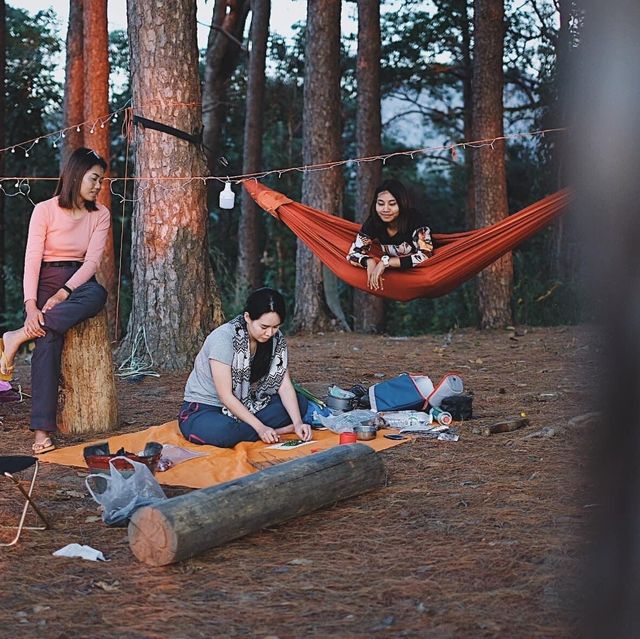 นั่งรถไฟชั้น3 ไปเดินป่า “ดอยขุนตาล” นั่งรถไฟชั้น3 ไปเดินป่า “ดอยขุนตาล”