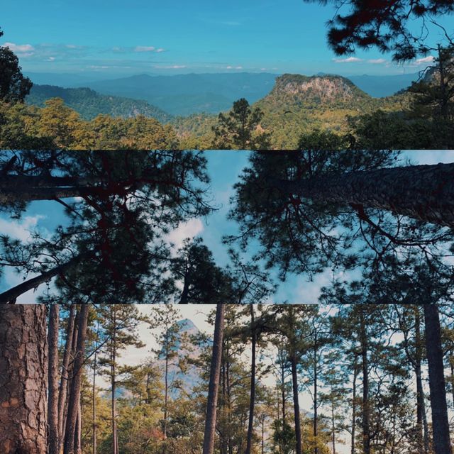 -ดอยหลวงเชียงดาว- 🍃⭐️
