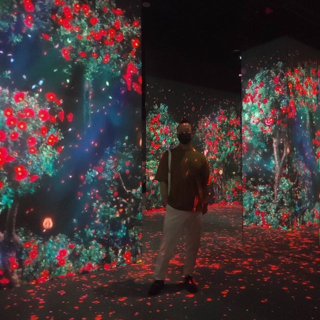 沉浸式數碼藝術博物館 ARTE M 登陸香港
