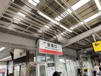 秋🍁(安芸)の宮島。宮島口駅→宮島