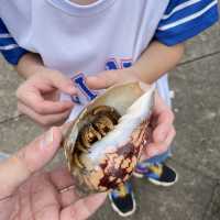 Tanjung Sepak day trip
