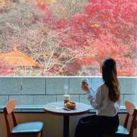 韓国/ソウル【牛耳洞】紅葉がとても綺麗に見える大型カフェ🍁💛