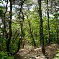 수원 피크닉 광교산 등산