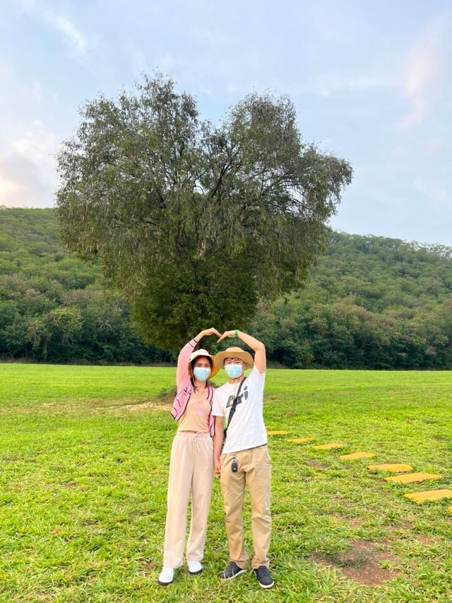 เขาใหญ่หน้าหนาว ⛰️🍃