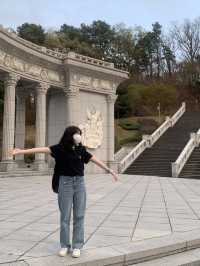 벚꽃 구경은 경희대학교에서 🏛️🌸