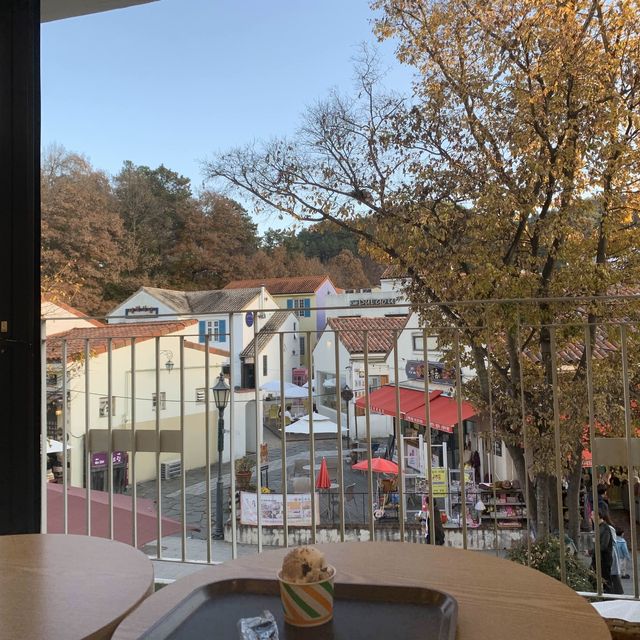 가을 단풍구경 막차입니당 ♥️🍁🍂