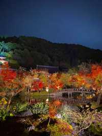 紅葉の永観堂🍁