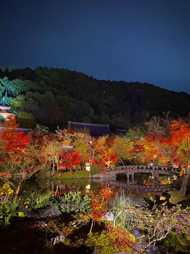 紅葉の永観堂🍁