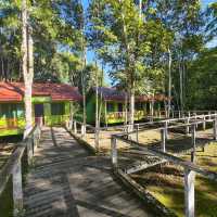 Stay near to forest, Eat near to River