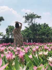 卓蘭山林間的花卉園區 花露農場 Flower Home