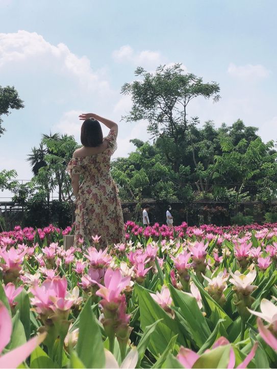 卓蘭山林間的花卉園區 花露農場 Flower Home