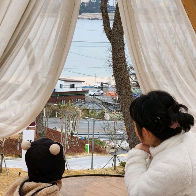 맛있는 커피와 디저트  놀거리와 볼거리 사진 찍기 좋은 카페