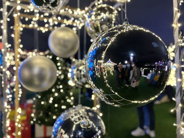 Christmas Attraction #11: The Biggest Outdoor Christmas Tree