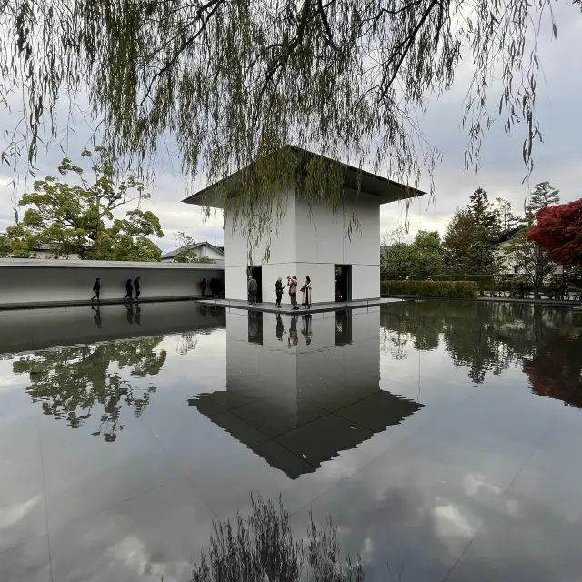 【石川】紅葉と建築美！鈴木大拙館