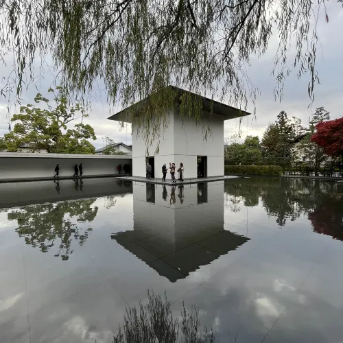 【石川】紅葉と建築美!鈴木大拙館