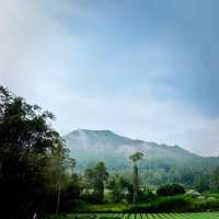 Waking up to ricefields & a volcano 😍