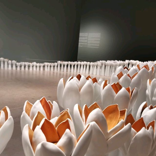 Trip to world of Illusion and reflection