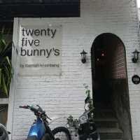 TwentyFive Bunny