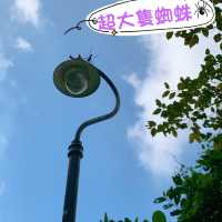 【超輕鬆親子行山路線】