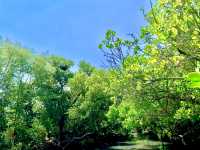 台南景點-四草濕地保護區