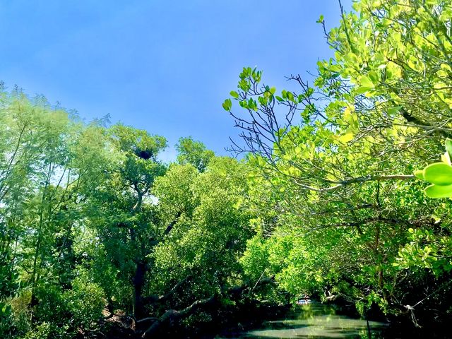 台南景點-四草濕地保護區