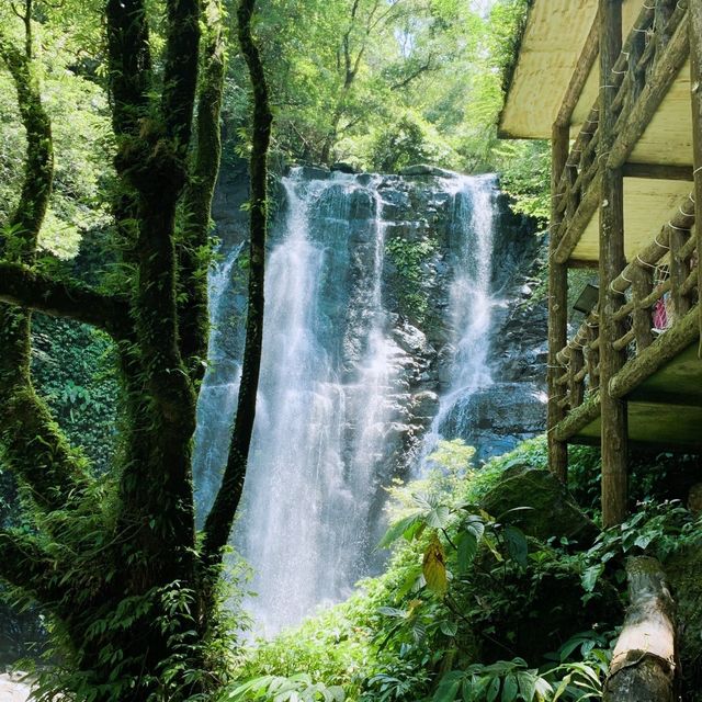 滿月圓森林遊樂區📍新北三峽登山步道