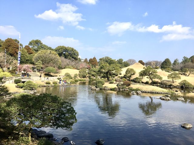 【熊本】水前寺公園で枝垂れ桜を鑑賞