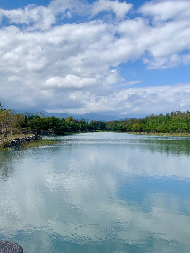 台東森林公園秘境探索｜快來這裡拍美照吧😍