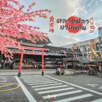 ตลาดปลาบางแสน เปิดใหม่