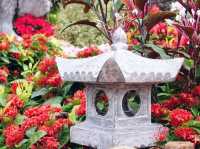 九龍公園花卉展