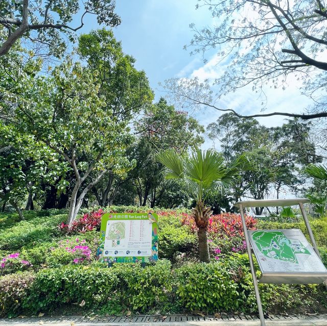 賞花攻略 元朗公園