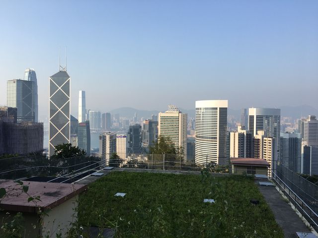 港島劏青蛙