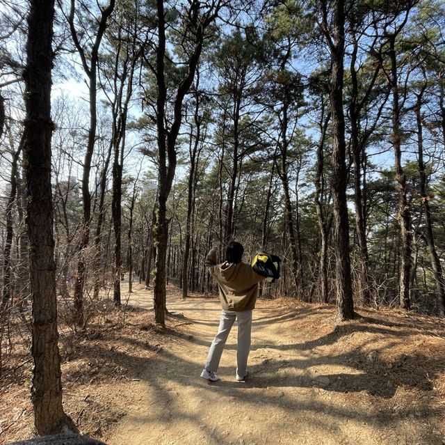 초보등린이에게 어울리는 반석산 근린공원🏔