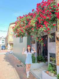 골목골목 예쁜장미담벼락이 한가득♥️