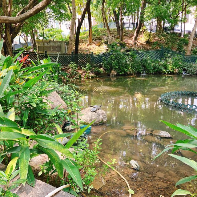 從玩樂中學習 📍荃灣 