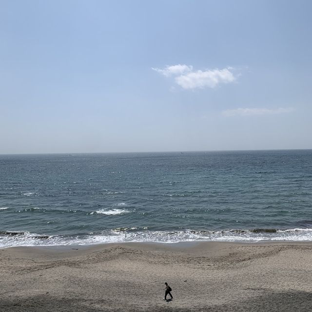 海！