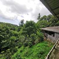 สถานที่ unseen แต่ต้องแลกกับการเดิน