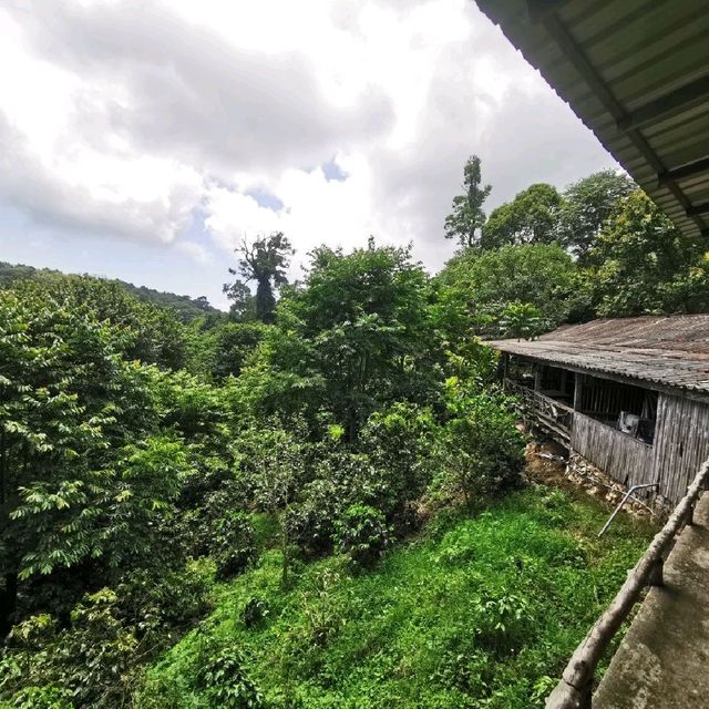 สถานที่ unseen แต่ต้องแลกกับการเดิน