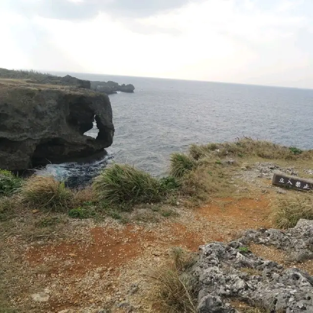 沖繩地標景點🐘🖼