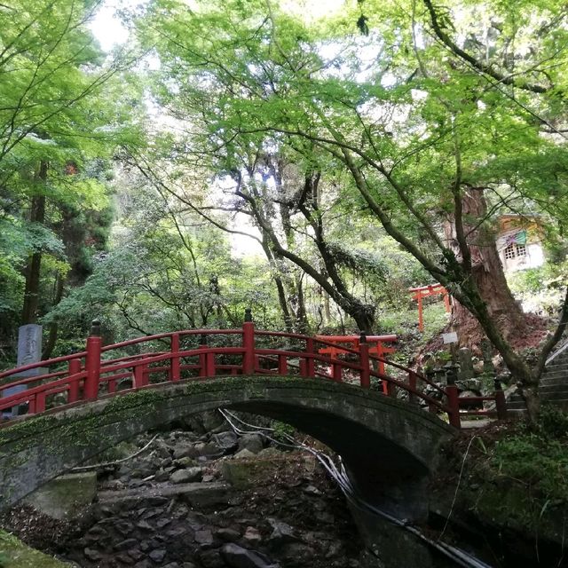 [佐賀]裏道でさらに森林浴🌳「清水の滝」
