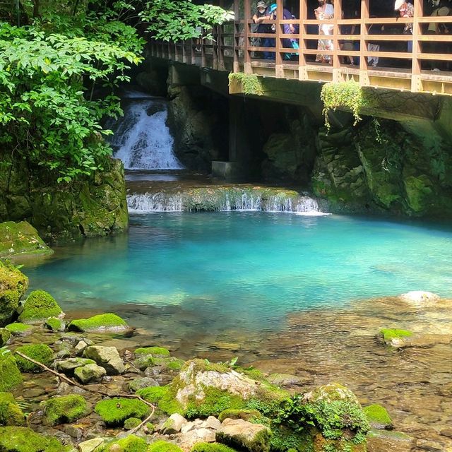 【山口県】秋芳洞窟